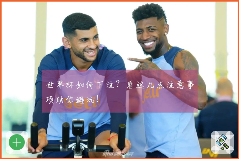 世界杯如何下注？看这几点注意事项助你避坑！