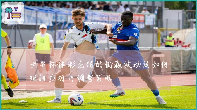 世界杯体彩竞猜的输赢波动该如何理性应对与调整策略