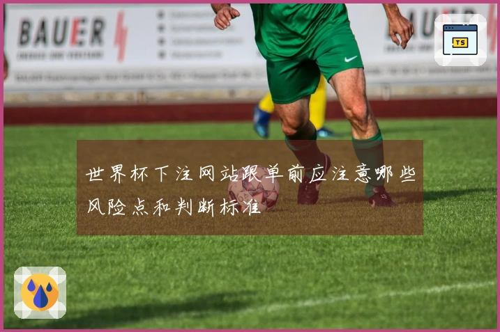 世界杯下注网站跟单前应注意哪些风险点和判断标准